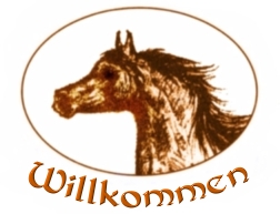 Ahil Arabians Logo